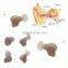 MY-G057A-4A Mini Power Portable In Ear model Digital AG5 Hearing Aid Sound amplifier