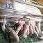 Customized design animal farm plastic floor plastic sheep slats