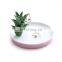 Plants Cactus Succulent Ceramic Ring Dish Plate Jewelry Tower Display Holder Organizer Trinket Tray Valentines Birthday Gifts