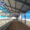 Ready Made Light Steel Structure Farm Shed for Sheep/Cattle/Horse