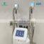 2022 new product fat freezing machine cryolipolysis/cryolipolysis machine with 4 handle
