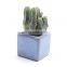 Ice Cracked Ceramic Flowerpot Square Succulent Flowerpot Colorful Mini-thumb Pot Zakka Succulent Pot For Garden Decor