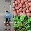 Hot sale small vegetable seed planter carrot seeder