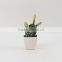 Pure Handmade high simulation mini potted Artificial Succulent plants