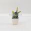 Best selling high simulation tropical plants artificial mini succulent plants