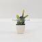 2014 best selling Potted indoor mini artificial cactus plants