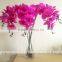 Simulation butterfly orchid pu feel butterfly orchid flowers Single flowers wholesale The sitting room decoration decoration flo