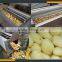 Leader new design sweet potato washing peeling slicing machine website:leaderservice005