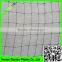 climbing plant support net from who owns the factory of production in China