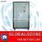 Ozone gas destructor ozone generator