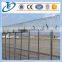 Single Razor Type and Galvanized barbed wire