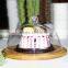 Wholesale fantastic glass dome cake stand