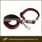 Factory Production Top Quality Nylon Webbing Dog Collars