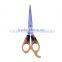 Paper cutting scissors school and student scissors