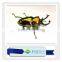 Animatronic insects, fiberglass insects, simulation insects