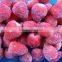 IQF Frozen B Grade Strawberry with best price