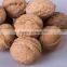 We are supply walnut in shell with best price for sale