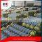 9 gauge stainless steel decorative chain link fence