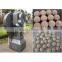 THP-40 easy operation automatic camphor ball press machine