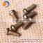 Round Phillips Head Screws