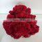 beautiful carving red gemstone for decoration