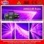600mW Romantic Rose laser light