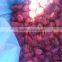 IQF Strawberry