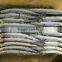 80-100g Frozen Saury For Bait