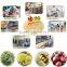 Freeze-dried (FD) Pure Chestnuts Flour---nice color and best quality