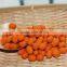 Wholesale free samples reliable quality wasabi flavour coated peanuts