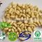shandong factory bulk sale long type blanched peanut kernel
