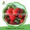 New Season A Grade Frozen Iqf Fruits Slice Strawberry