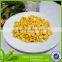 good quaity canned yellow corn, china manufactuer 184g yellow corn price