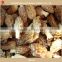 Wholesale IQF frozen morel mushroom, price of frozen morel