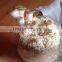 Whole Part And Cultivation Processing Type Oyster Mushroom Grow Bag