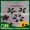 Promotion :Round Type Sunflower Seed Top Quality 1121,909 low price