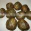 Chinese bee base bee propolis