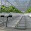 Hydroponics Greenhouse Multi Span Poly Film/PC Sheet