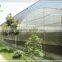 Long life multi span plastic film greenhouse for hydropnonic agriculture