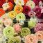 colorful artificial flower
