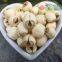 Lotus Seed Lotus Nut Lotus Kernel Dried Handmade White Lotus Seed with Core Plumule