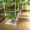 Indoor Plant Hydroponic Set In Greenhouse