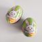 Easter Goose Eggs Shapes Flat Cookie Tin Candy Chocolate & Cake Surface Debossing