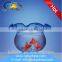 High quality curved glass aquarium with great price