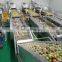Shanghai Genyond Factory Compound apple juice pressing equipment extractor extracting machine plant fruit juicer machine