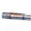 Made In China  China Heavy Truck Sitrak MAN MC11/MC13  Motor Assembly  200-04400-6050 Camshaft Assembly