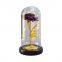 Wholesale Acrylic Cover Rose in Glass Dome with LED Light Women's Gift Sets for Valentine Wedding
