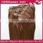  express wholesale brazilian remy hair Clip In Hair Extension