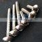 JIS1122 Self Tapping Screw in best-selling