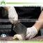 competitive price good quality latex glove